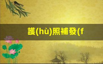 護(hù)照補發(fā) 簽證(護(hù)照補發(fā)需要多久)